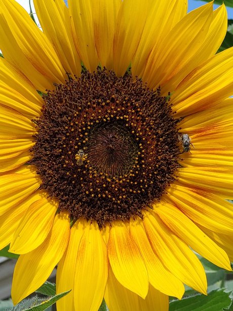 Oregongrl33 star adult archive