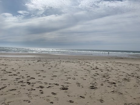 Oregongay beautiful actress pics