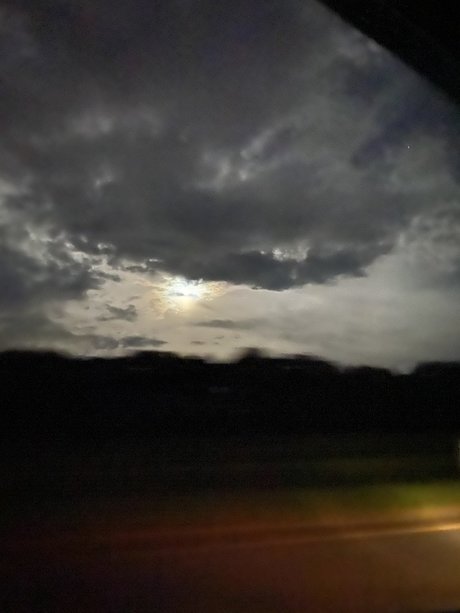 oralgoddess erotic star pic