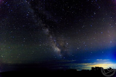 OPP Charlie model pornographic images