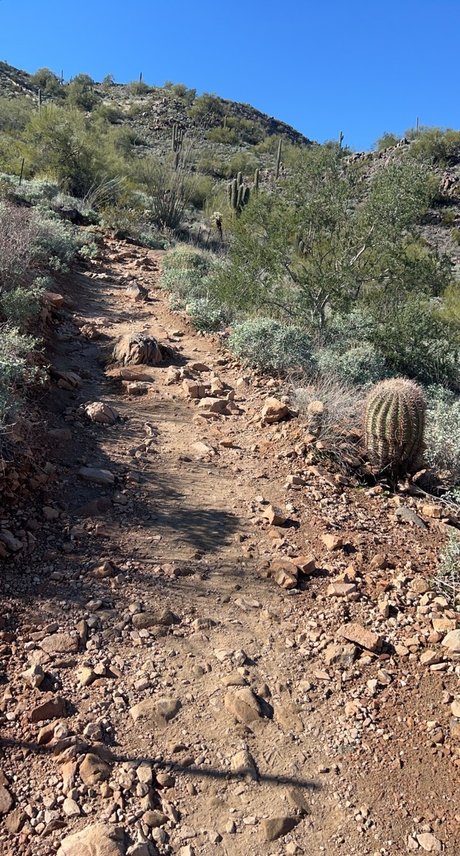 OnyxSton3 star beautiful archive