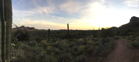 Ade high quality actress photos