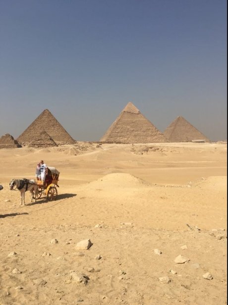 Patsy H star erotic pic