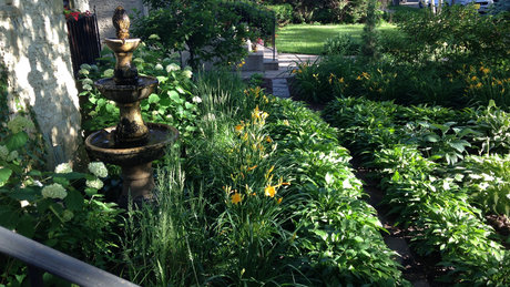 The Real Patriarch Smith sexy pornstar pics