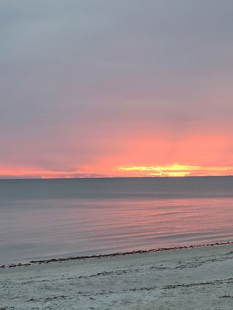 Pastel Pearl model free gallery