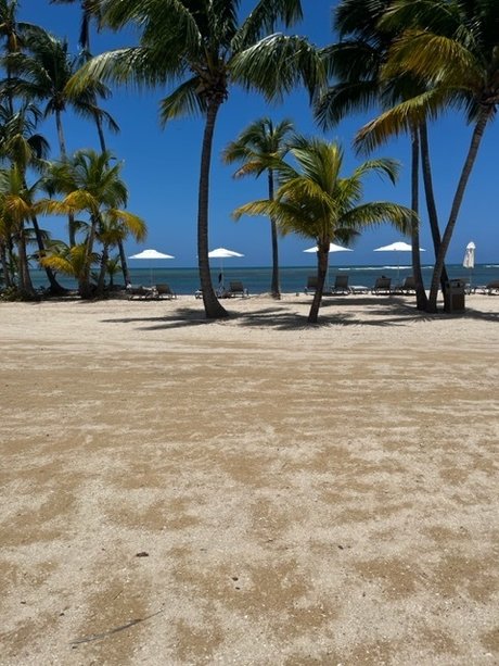 Papi Gambino star nudes pictures