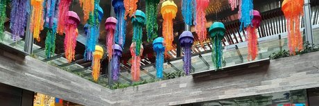 Paolo lover star adult photo