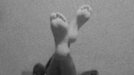 Paola Rodriguez free actress photos