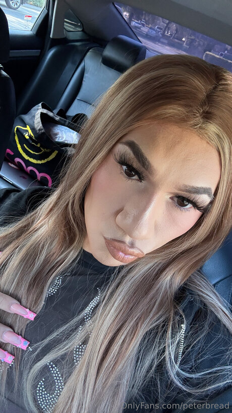 Peter Bread pornstar top gallery