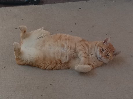 Domain8 photography star xxx pics