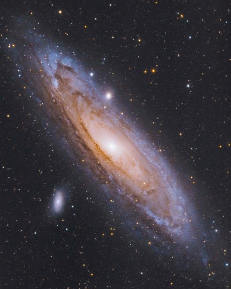 Perse free star image