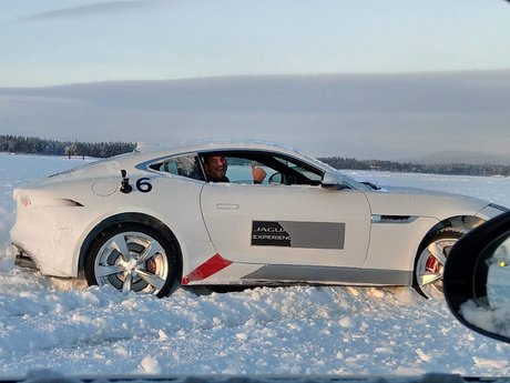 Permanantcoasthols erotic model galleries