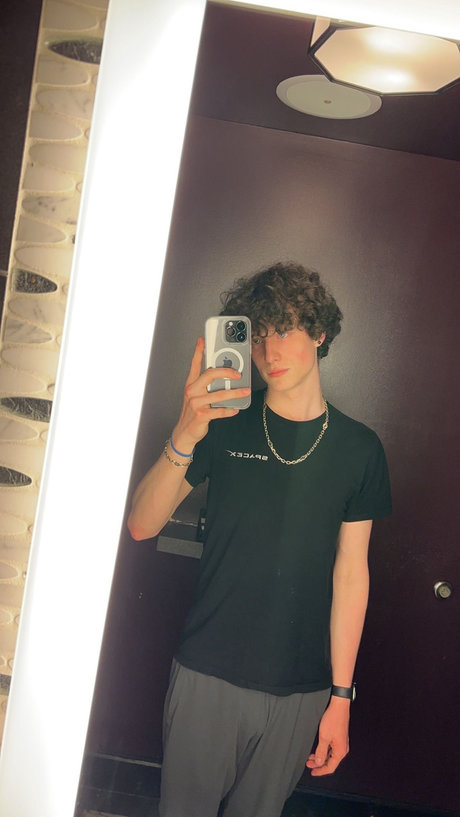 Penguin model top image