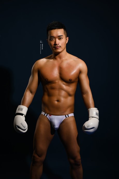 peisuky star nice gallery