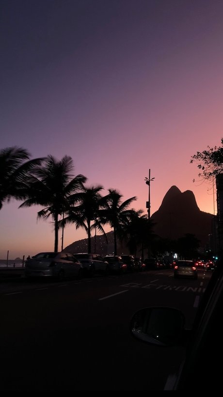 pedro trestini exclusive star archive