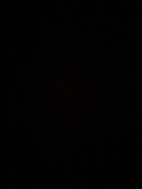 payton huff star adult image