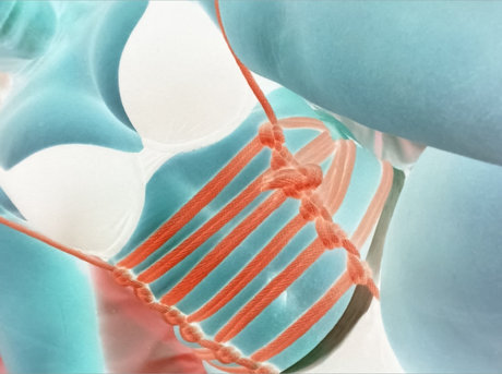 _Doll DEITY star xxx img