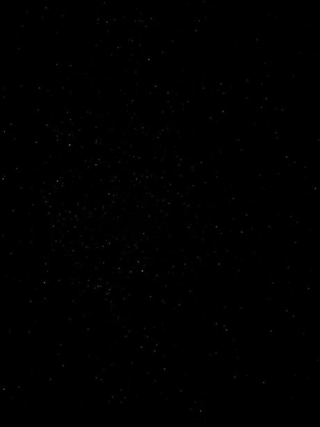 PAULA star best picture