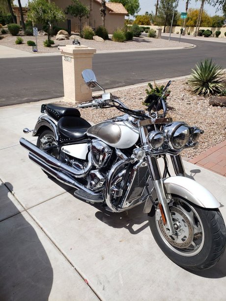 Paul Pettit porn star pic