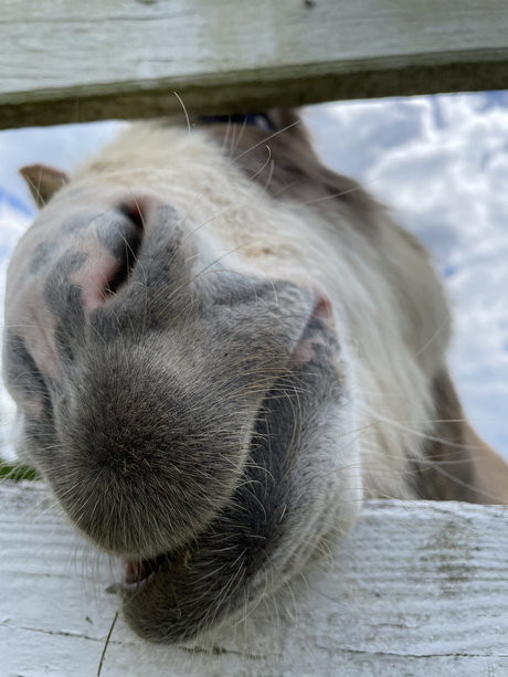 DaddyLongLegz pornstar perfect pics