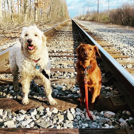 Cougarmeat beautiful model pictures