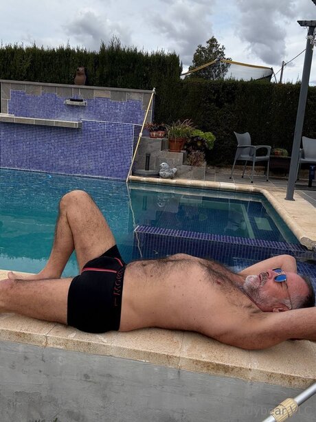 Daddy bear model adult picture