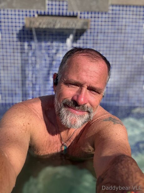 Daddy bear pretty star archive