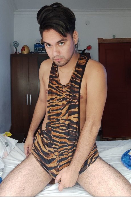 PieroCo art star archive