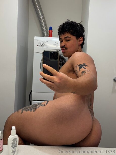 Pierce Dani model high quality archive