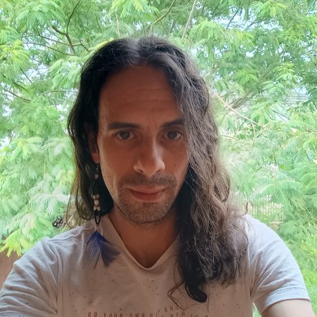 Pi Guasu star photos