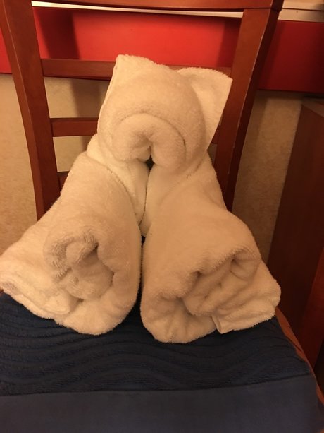 Phonyheart hot pornstar galleries