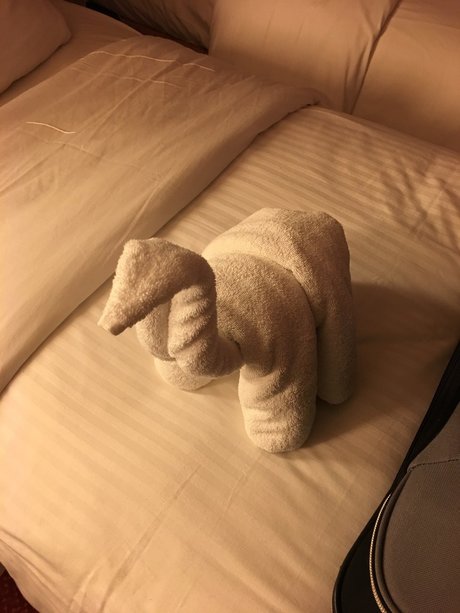 Phonyheart pornstar erotic galleries