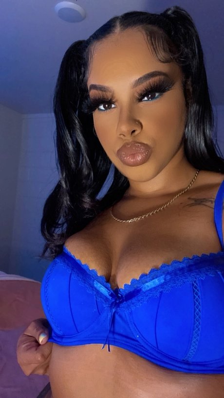 Cinn star high quality gallery