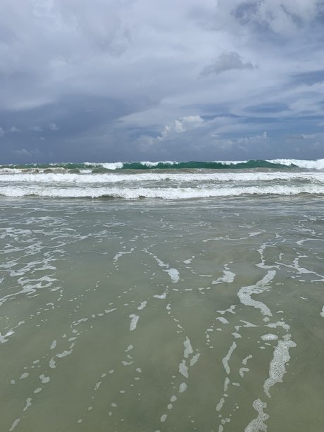 Phenix nice actress gallery