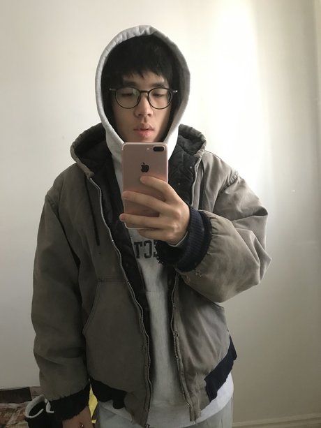 plumdrop model best archive