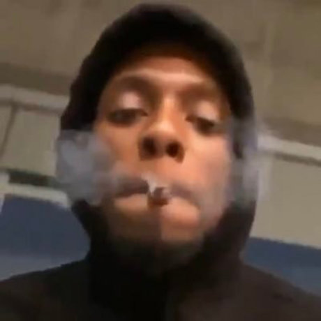 Gut Digger star free images