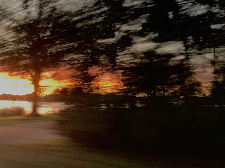 han burger sexy actress pic