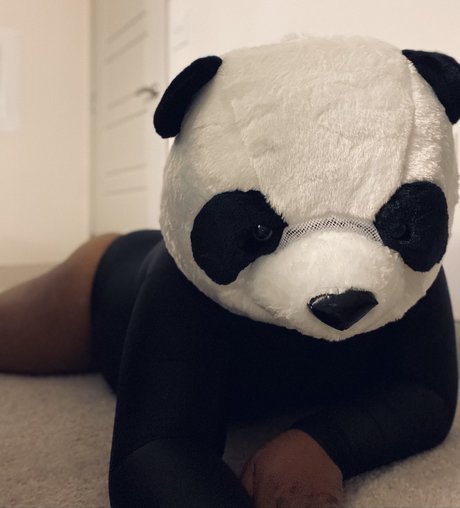 PlayBear pornstar exclusive img