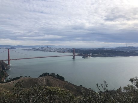 PlantDaddy SF perfect actress archive