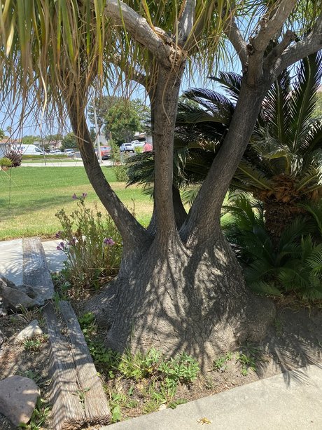 JDwilling pornstar xxx gallery