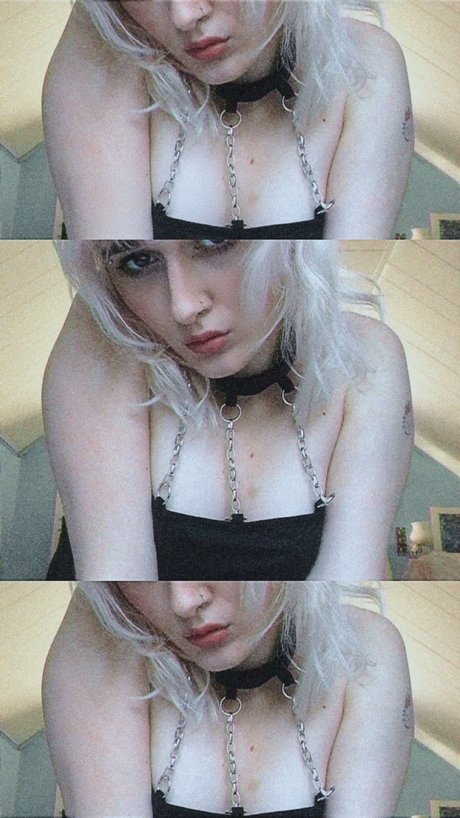 little pixie high quality star photos