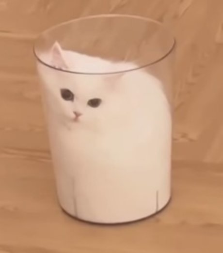 Claire CS model hd picture