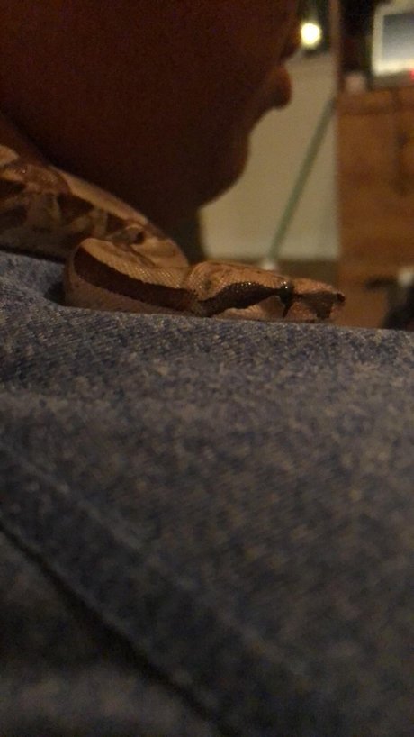 Daddy s little_ model nudes image