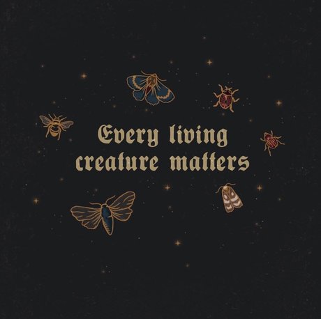 Tokyo_ high quality pornstar archive