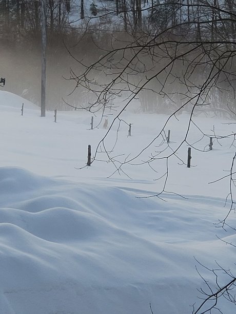 Couple6225 pornstar adult picture