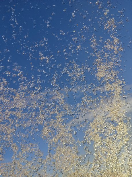 Potatis art star archive