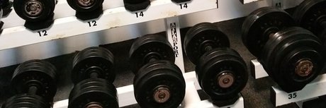 Pony Tails nice model archive