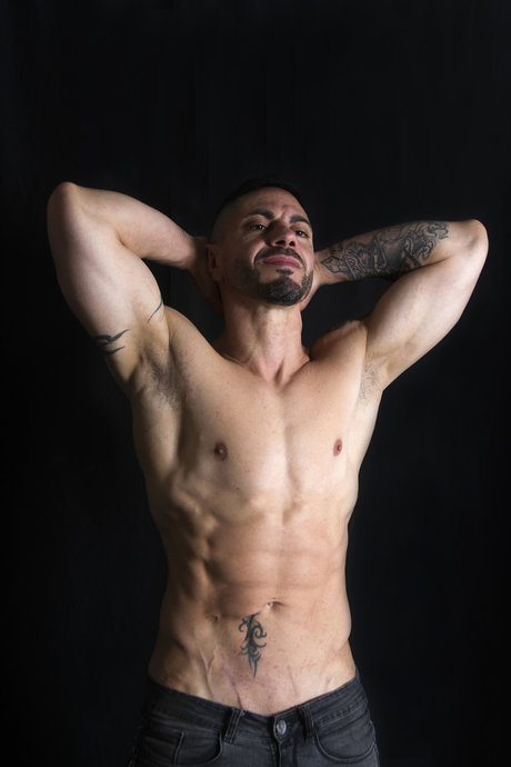 Pol star art gallery