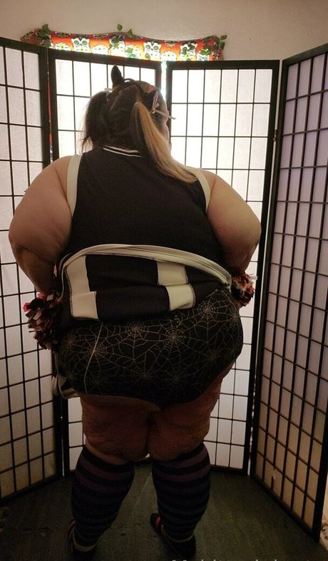 mskittydelgato star pretty archive