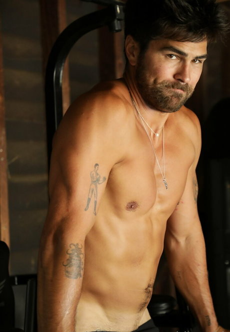 toddysmith pornstar img